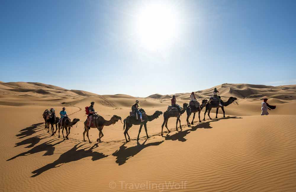 desert-merzouga-camel-morocco