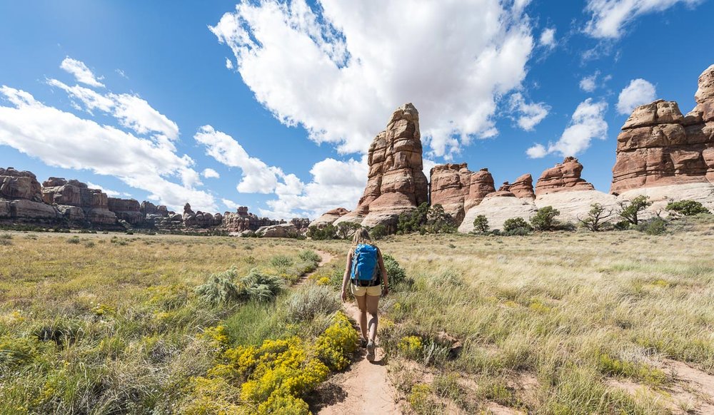 hike in needles district canyonlands