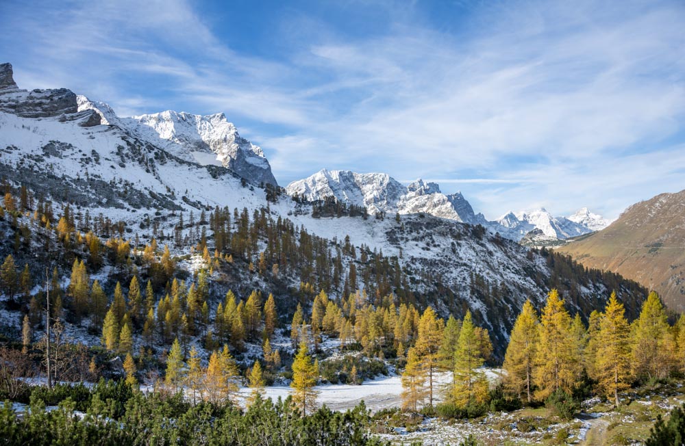 wanderweg hahnkampl eng lärchen