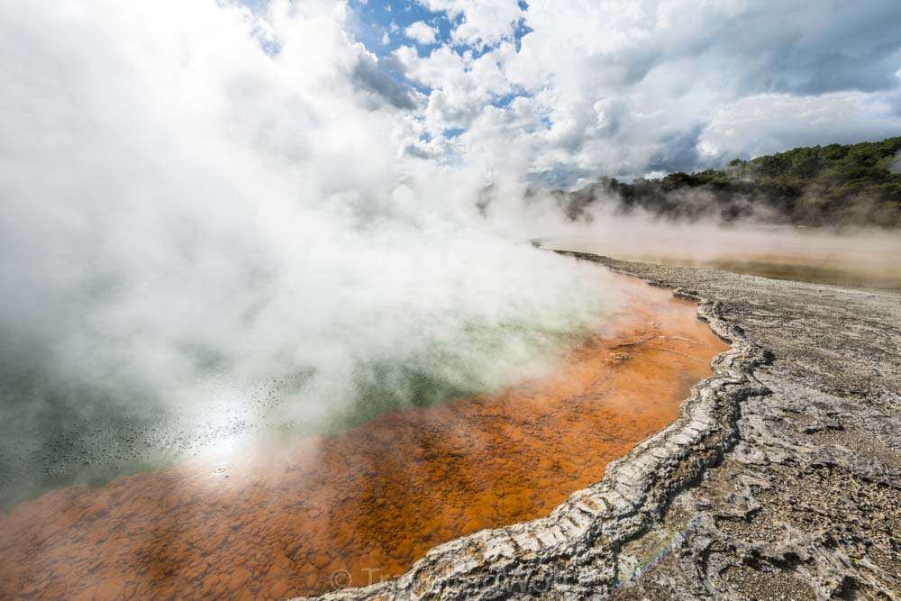 champagne pool rotorua new zealand