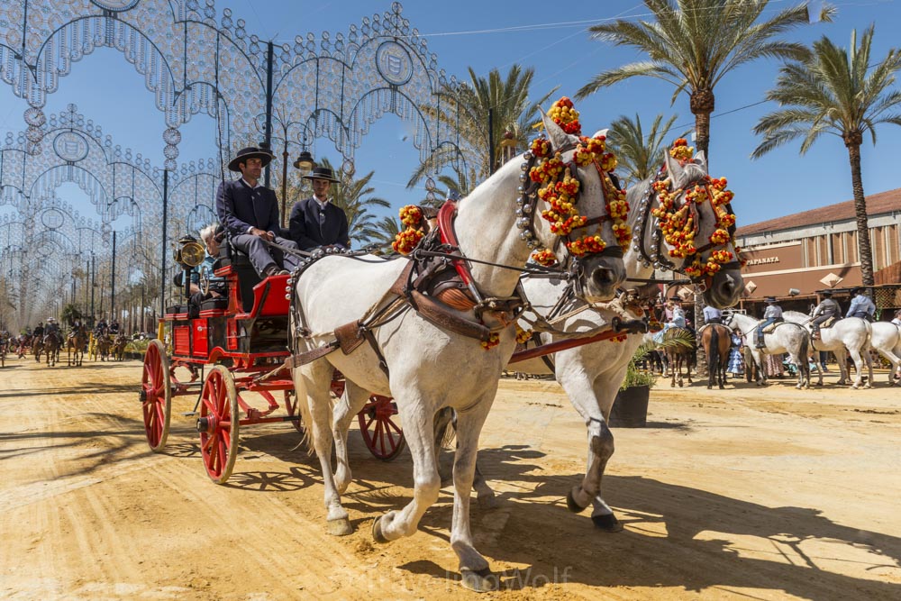 coach feria de abril jerez