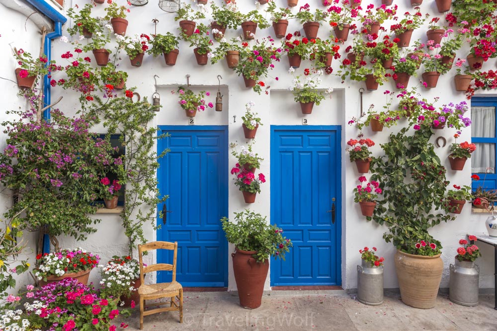 cordoba-flower-patio