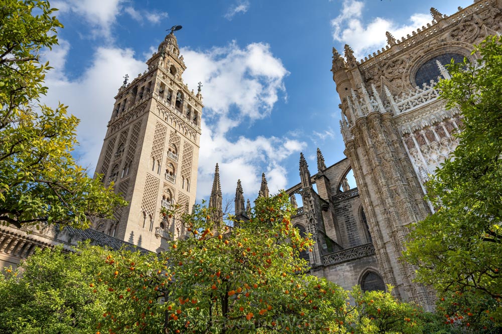 catedral sevilla