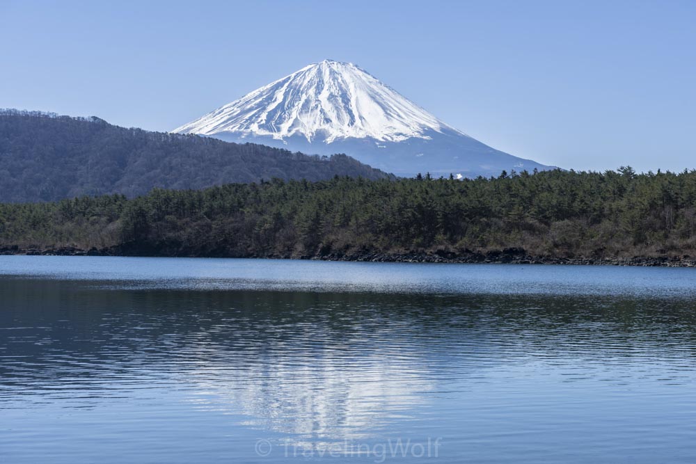 lake saiko mount fuji japan