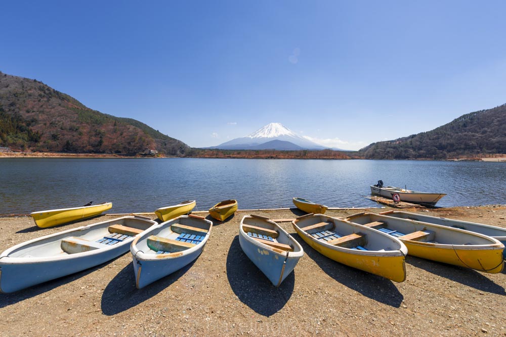 lake shoji mount fuji japan