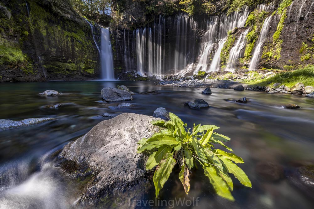 shiraito falls japan