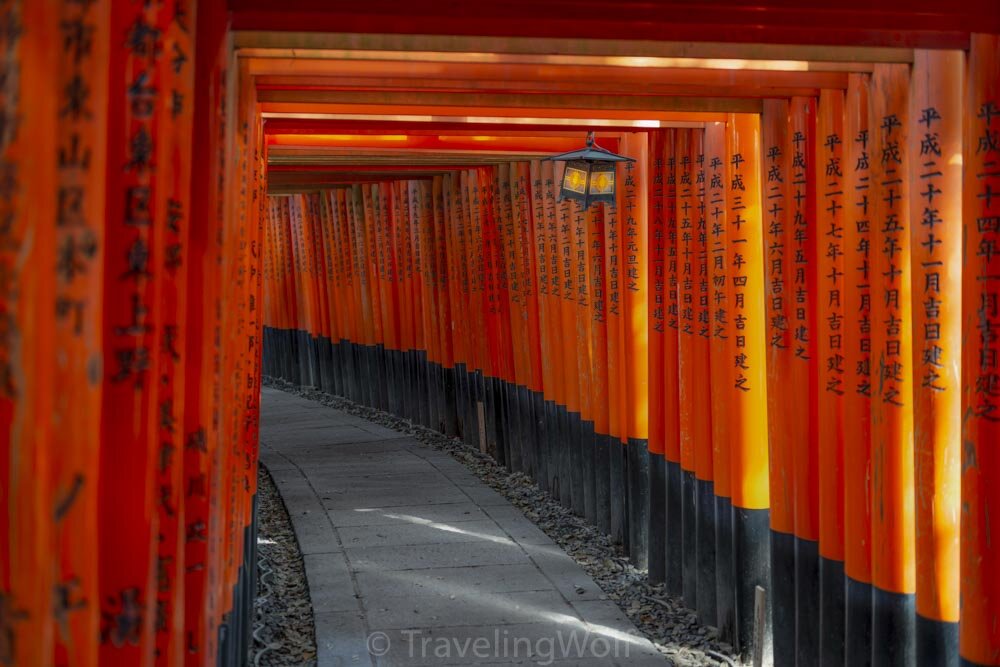 fushimi-inari taisha shrine in kyoto