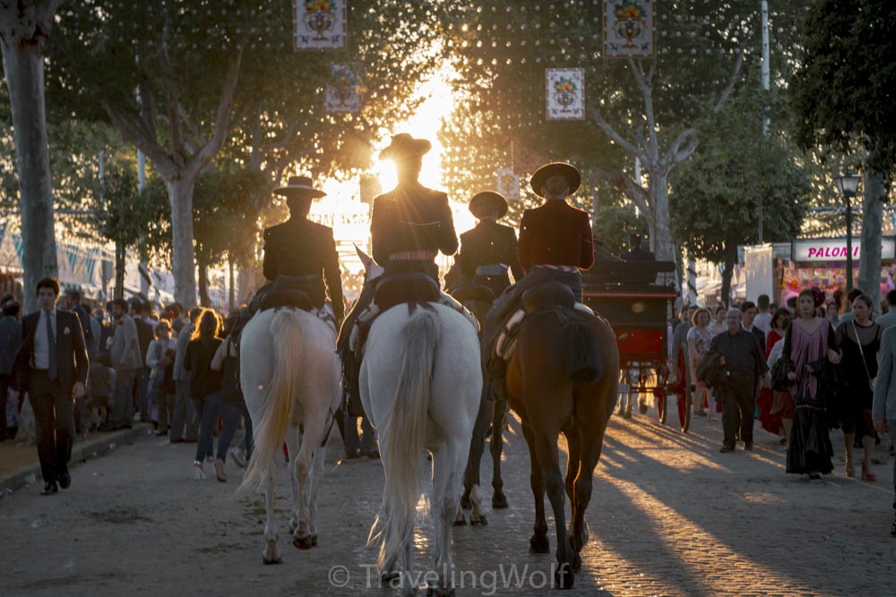 horses coaches feria de abril sevilla