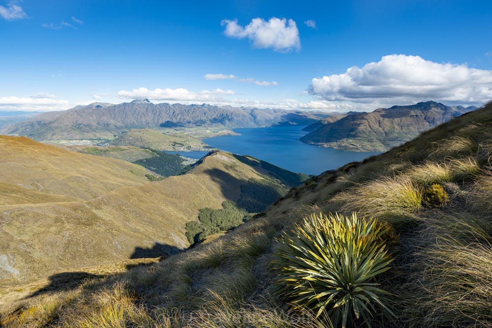 The 5 Best Day Hikes around Queenstown in New Zealand