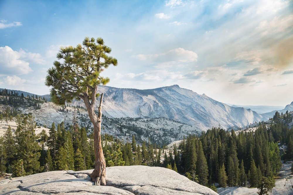 Olmsted Point Yosemite National Park