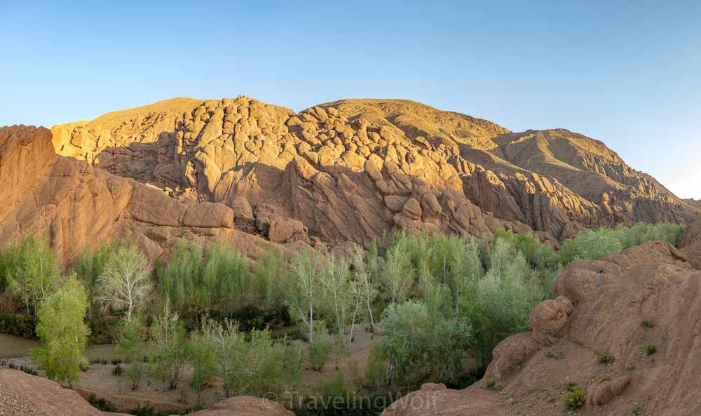 pattes de singes todra morocco