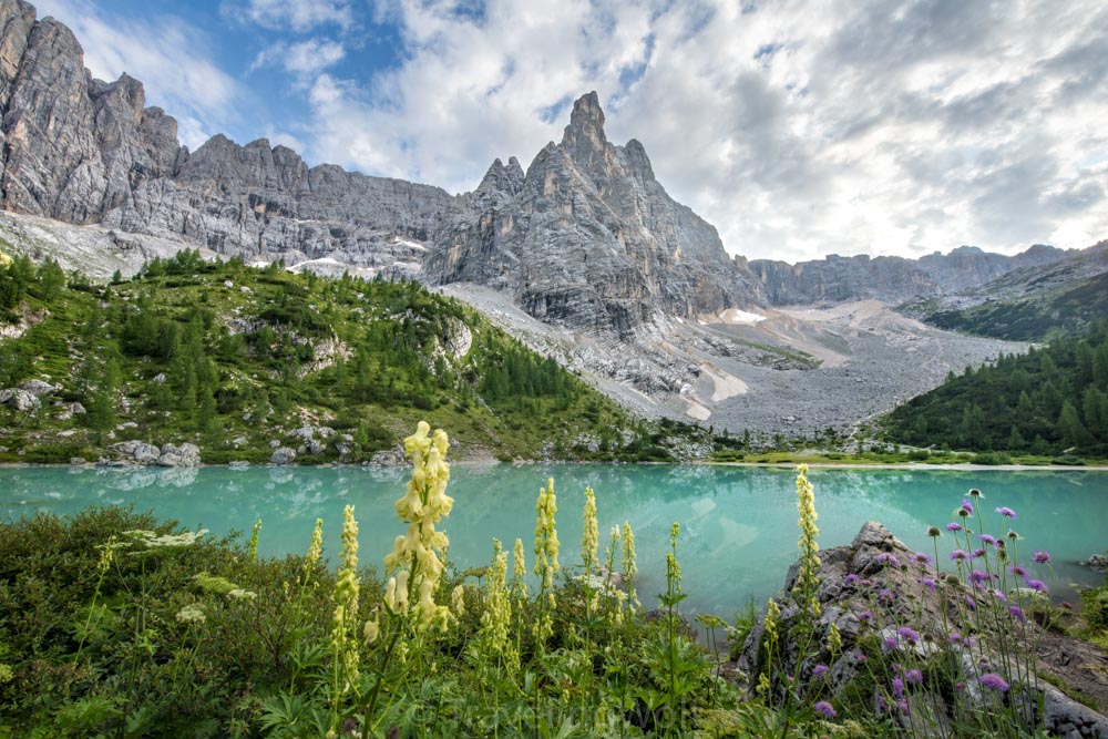 lago di sorapiss with flowers