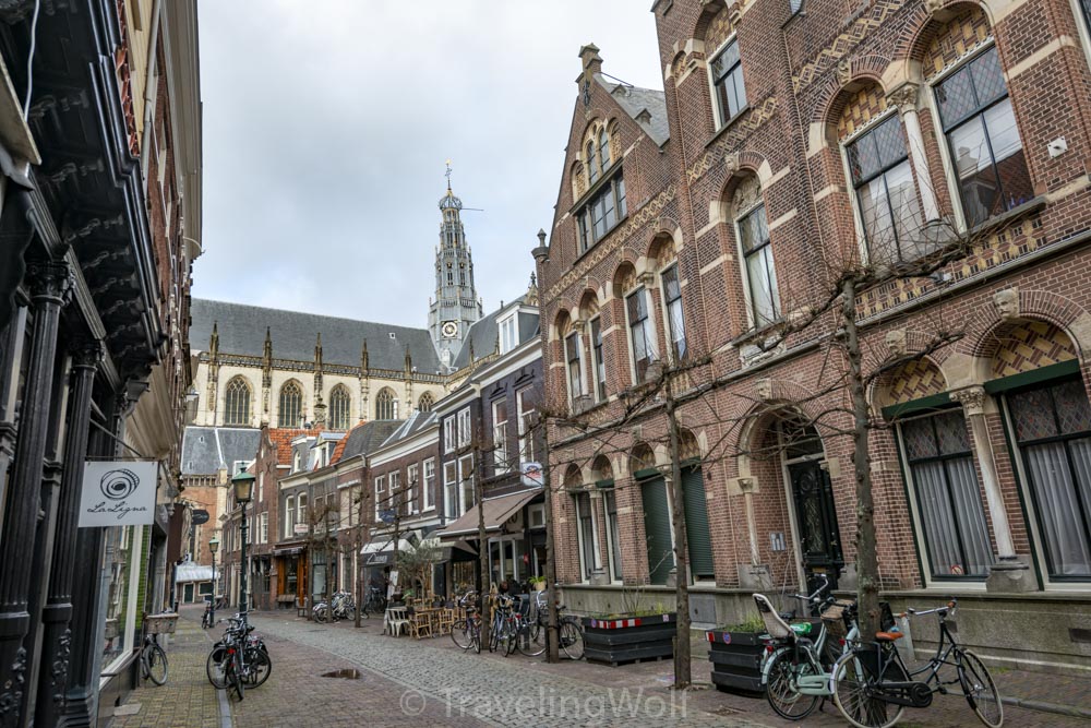 st bavokerk church haarlem