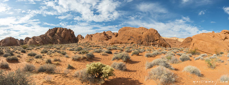 valley-of-fire-rainbow-vista-trail